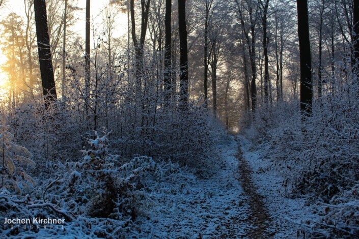 Wintertraum - Canon EOS 700D - Geiselbach, Landschaft, Schnee, Winter